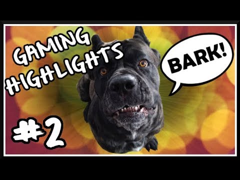 Marz n' Fam Highlights Compilation | #2