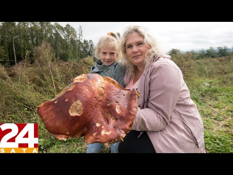 Tara (5) je specijalistica za vrganje: Pronašla je gljivu tešku skoro dva kilograma