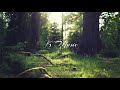 Flunk - Down