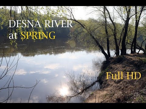 Desna River at Spring | Relaxing Video, Sounds of Nature | Full HD