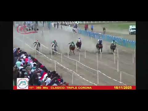 Cowboy vs Bartender vs Albanesi vs Rocky vs Paquirri vs Indian 🇦🇷