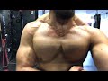 Destruição de Peito e Triceps