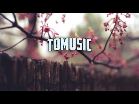 grayera (nimbus) - in due time