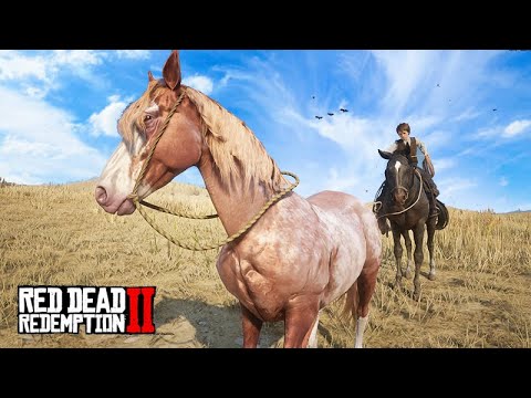 TAMING HORSES with JACK - Training to be a COWBOY - Red Dead Redemption 2