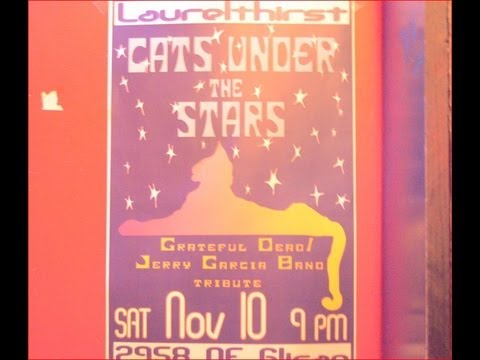 CATS UNDER THE STARS - NOV 10 2012 - LaurelThirst Public House - G.G. TV PT 7