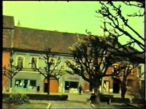 Kartoffeln und Gemüse