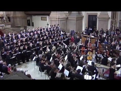 J. Haydn Nelson Messe