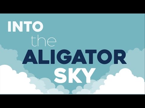 Owl City - Alligator Sky ft. Shawn Chrystopher- Lyric Video - Kinetic Typography