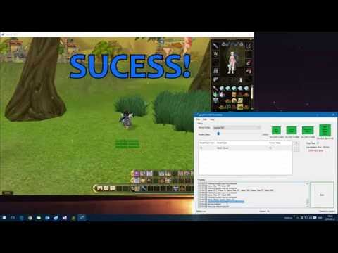 FlyFF - Awakebot Free (Customizable, Support your own server)