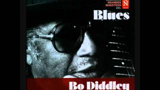 Bo Diddley   Grandes maestros del blues 4