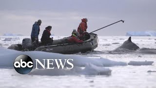 Researchers brave brutal conditions to research climate change in Antarctica: Part 1
