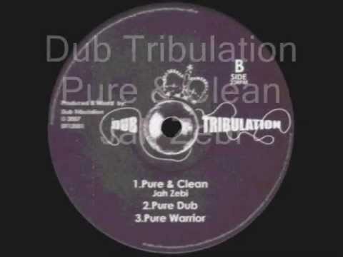 Pure & Clean-Jah Zebi__Pure Dub__Pure Warrior-Dub Tribulation (Dub Tribulation)