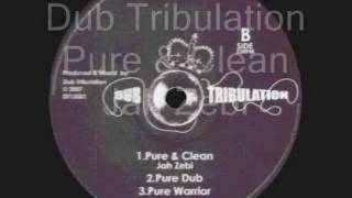Pure & Clean-Jah Zebi__Pure Dub__Pure Warrior-Dub Tribulation (Dub Tribulation)