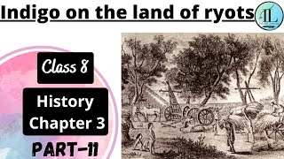Indigo on the land of ryots | Ruling the Countryside | class 8 History Chapter 3