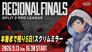 世界大会行きが9/13で決まる！RFスクリムミラー【あれる】│APEX