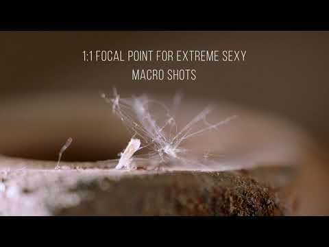 Optex Excellence System Explanation Video