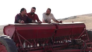 Բերդավան