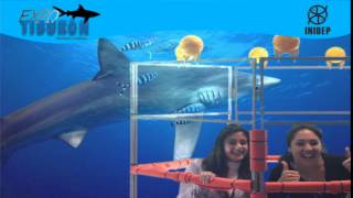 DIA 2 Expo Tiburon178