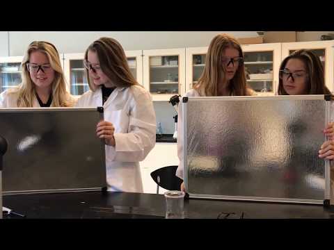 1.Z INTELLIGENT - Rungsted Gymnasium