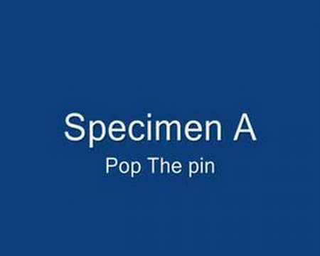 Specimen a - Pop the pin