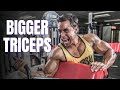 Bigger Triceps! Best Tricep Workout For Bigger Triceps | Maik Wiedenbach | Shorts | YouTube Shorts