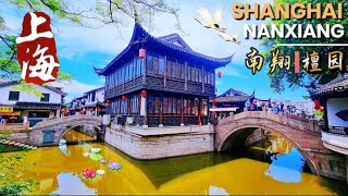 With Wei`s Travel . . . NanXiang Town is affiliated to JiaDing District, ShangHai. It is one of the four famous historical towns in Shanghai. It was once known as `Little Nanxiang` and `Sioux City` in history. Nanxiang is a thousand-year-old ancient town. As early as the fourth year of Liang Tianjian in the Southern Dynasty (AD 505), the Baihe Nanxiang Temple was built, and the temple got its name. Later, monuments such as the Twin Brick Pagodas of the Five Dynasties, Hecha Mountain in the Southern Song Dynasty, and the Guyi Garden and Tan Garden in the Ming Dynasty were built. Nanxiang Town has successively won titles such as China`s Famous Historical and Cultural Town and National Civilized Town. Nanxiang has high-tech parks and urban industrial parks. More than 200 companies from more than 20 countries and regions around the world have settled in Nanxiang. Nanxiang is a small town with a very developed economy. The famous Nanxiang Xiaolongbao has also spread all over the world and has become the most famous Nanxiang gourmet masterpiece. 00:00 Travel Highlights 旅行精华预览 01:51 Nanxiang Old Street 南翔老街 06:01 Nanxiang Ancient Town 南翔古镇 07:41 Xiaolongbao Cultural Center 南翔小笼包文化馆 11:10 People Street 人民街 21:20 Yunxiang Temple 云翔寺 26:14 Twin Towers Plaza 双塔广场 27:15 Nanxiang History Museum 南翔历史文化馆 29:57 Huntang Lane 混堂弄 31:14 Tanyuan Garden 檀园 36:42 Shifang Art Museum 十方书院美术馆 39:21 Mansion of the Ancients 南翔人家 42:17 Baozun Lobby 宝尊堂 43:34 Garden Lakeside 花园湖景 47:36 Garden Rockery 花园假山 48:45 Beautiful View in Tanyuan 檀园美景 51:21 Republic Street 共和街 Welcome to NanXiang Ancient Town Introduction History Top Attractions Local Cuisine Visitor Tips Introduction NanXiang Ancient Town, located in the JiaDing District of ShangHai, is a historic town known for its rich cultural heritage, beautiful ancient architecture, and famous NanXiang XiaoLongBao (soup dumplings). The town offers visitors a chance to step back in time and explore traditional Chinese culture and history. History Founded over 1,500 years ago during the Southern and Northern Dynasties, NanXiang has been an important cultural and economic hub in the region. The town played a significant role during the Ming and Qing dynasties, and many of its ancient buildings and structures have been preserved to this day. Top Attractions Guyi Garden Guyi Garden is one of the most famous classical gardens in ShangHai. Originally built in the Ming Dynasty, the garden features beautiful landscapes, ancient trees, and traditional Chinese pavilions, making it a must-visit for those who appreciate natural beauty and history. YunXiang Temple YunXiang Temple is a Buddhist temple with a history of over 1,000 years. The temple is known for its serene environment, exquisite architecture, and significant cultural artifacts. Visitors can explore the temple grounds and learn about its rich history. NanXiang Old Street NanXiang Old Street is a bustling area filled with traditional shops, teahouses, and eateries. The street is lined with ancient buildings, offering a glimpse into the town`s past while providing a lively atmosphere for visitors. Local Cuisine NanXiang is the birthplace of the famous NanXiang XiaoLongBao, a type of steamed bun filled with soup and meat. These dumplings are a must-try for any visitor. The town also offers a variety of other local delicacies, including traditional ShangHai snacks and sweets. Visitor Tips Best Time to Visit: Spring and autumn are the best times to visit NanXiang, as the weather is mild and pleasant. Getting There: NanXiang Ancient Town is accessible by metro and bus from downtown ShangHai. The closest metro station is NanXiang on Line 11. Language: While Mandarin is the primary language, many locals speak the Shanghainese dialect. Basic English may be understood in tourist areas. Etiquette: When visiting temples, dress modestly and be respectful of the religious practices. The beautiful NanXiang ancient town, ShangHai