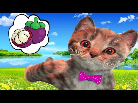 PLAYFUL PET CARE AND LITTLE KITTEN ADVENTURE -Little Kitten My Favorite Cat Pet Care Kids Game #16