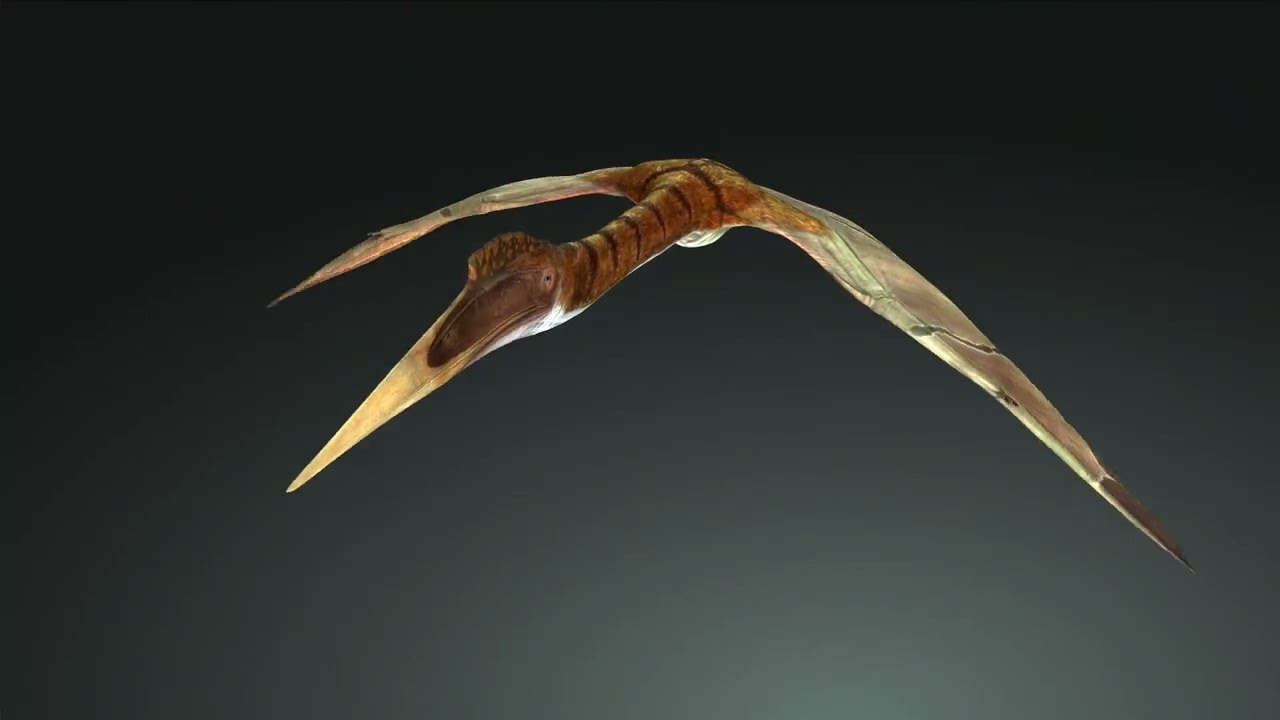 DOWNLOAD QUETZALCOATLUS 3D MODEL ANIMATED DINOSAUR DINOSAUR BIRD TERROR RAPTOR PREDATOR SKY 3D Model
