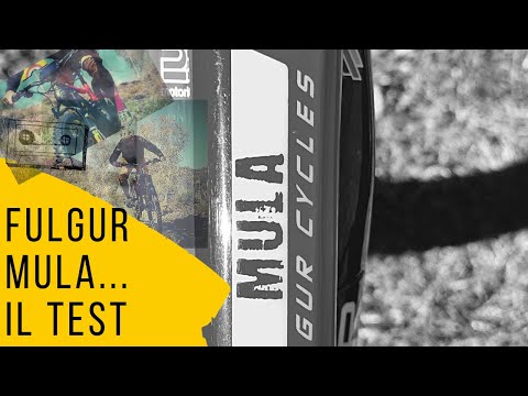 Test Fulgur Mula-Powered Polini