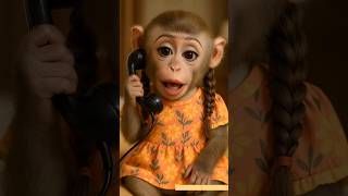 Download lagu Papa Papa| #kahaaniTime #papa#monkey #monkeys #papakipari #papalove #papapapa#pari #paripapaki mp3 Download lagu Papa Papa| #kahaaniTime #papa#monkey #monkeys #papakipari #papalove #papapapa#pari #paripapaki mp3