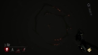 [ひよこ夫婦]DeadbyDaylight実況配信