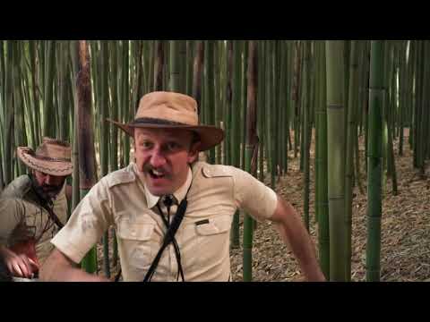 Les Frères Jacquard - Killing in the name of the bambous - Rage Against The Philippe Lavil