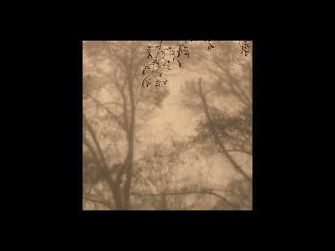 Bozart - The Dark, The Light ft. Jennifer Cardini (extended version) [Correspondant]