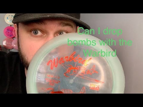 Lonestar Warbird Review
