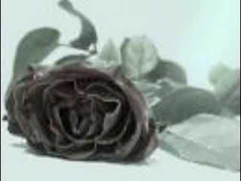 YaRaLi-Rapci - Gelme Geri