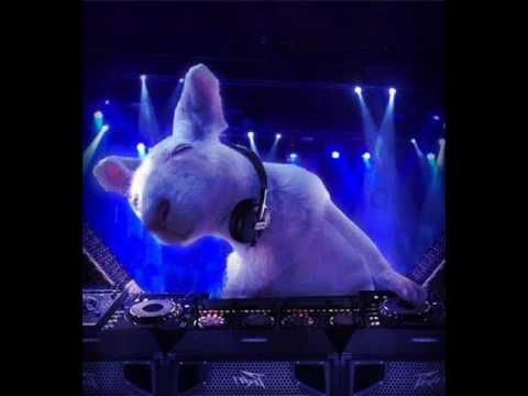 Geoff K - Get Better - FIDGET