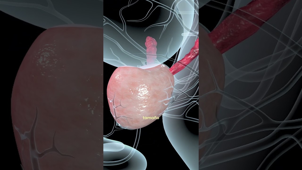 Orlando José Hernández-20