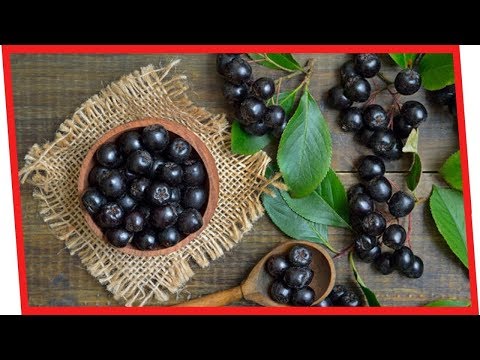 , title : '7 Powerful Benefits Of Aronia Berries For Your Health | Nutrition Facts'