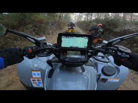Grizzly Explorer #3 - TT B.V. Oliveira de Azeméis