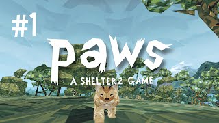 A NEW PAWSPECTIVE - PAWS (EP.1)