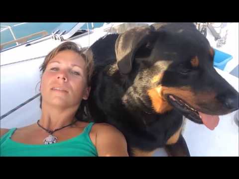 Sailing and Fishing the Windward Passage