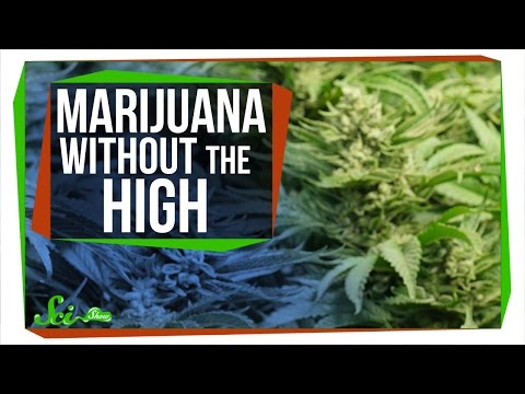 CBD: Marijuana Without the High