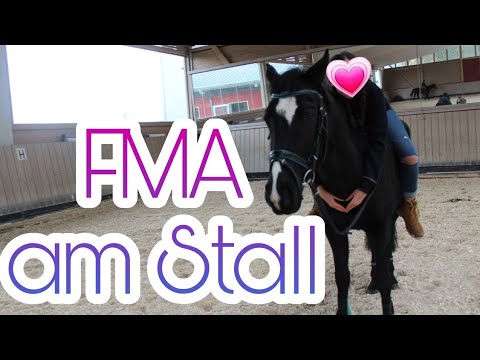 FMA am Stall 💗 mit neuer Reitbeteiligung 🐎