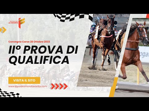 II Prova di Qualifica del 28 Ottobre 2023 - 2 Anni - Metri 2000