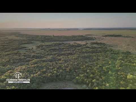 CAMPO EN VENTA EN SALADAS, CORRIENTES – 409 HECTÁREAS SOBRE RUTA NACIONAL 118