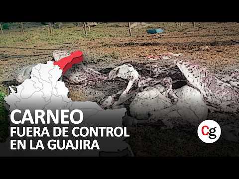 El carneo y el abigeato no dan tregua y la inseguridad en el campo se vuelve insostenible.