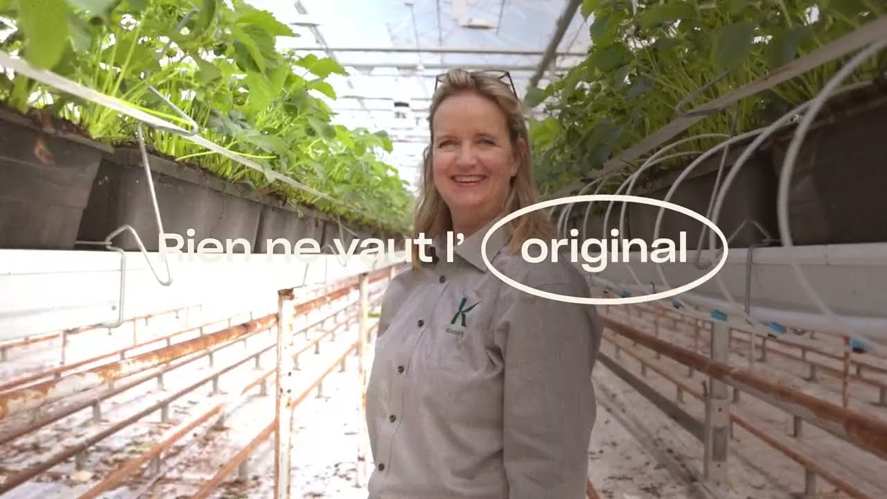 Video preview poster