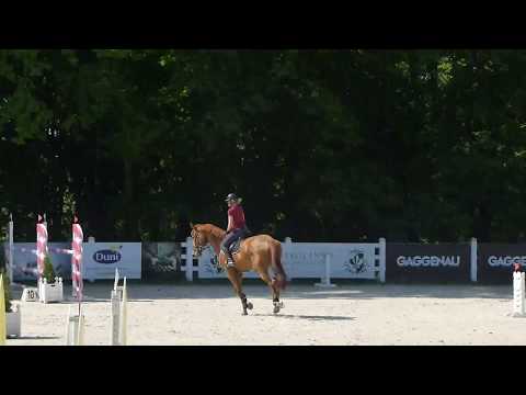 Cellestina (Cellestial x Singulord Joter) Baltica Clear Round