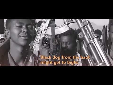 Wa'ero ዋዕሮ   Q rap M o d b ft  Radov & Liyaye Shikor