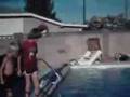Jaws The Little Bite Mov